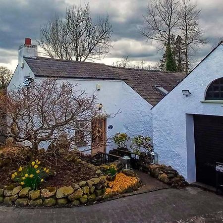 Riverside Cottage At Logwood Mill Ballyclare Exteriér fotografie