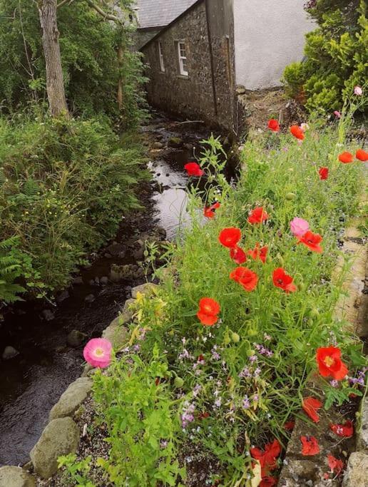 Riverside Cottage At Logwood Mill Ballyclare Exteriér fotografie