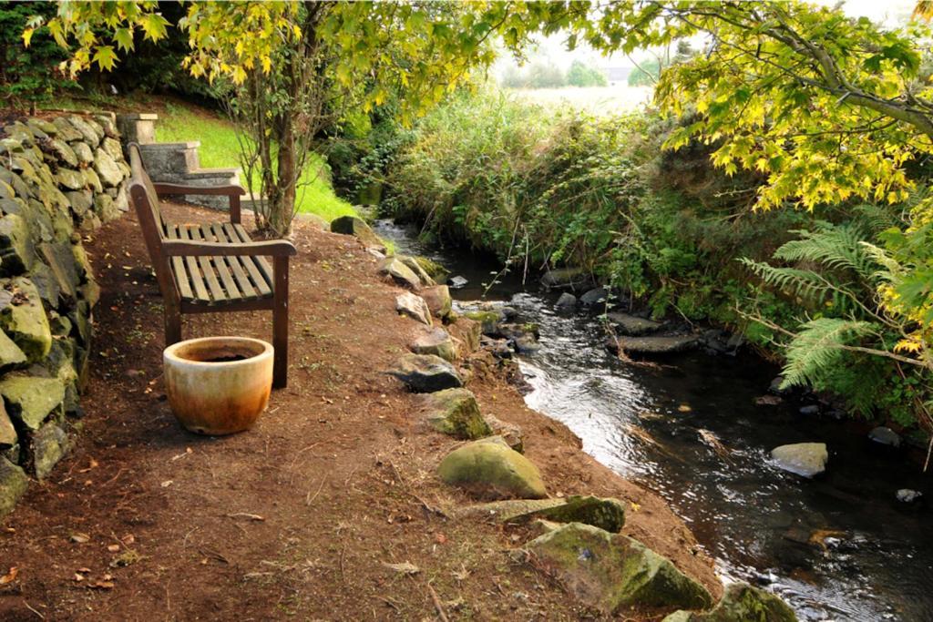 Riverside Cottage At Logwood Mill Ballyclare Exteriér fotografie