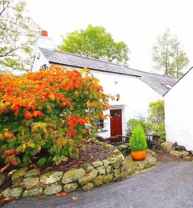 Riverside Cottage At Logwood Mill Ballyclare Exteriér fotografie