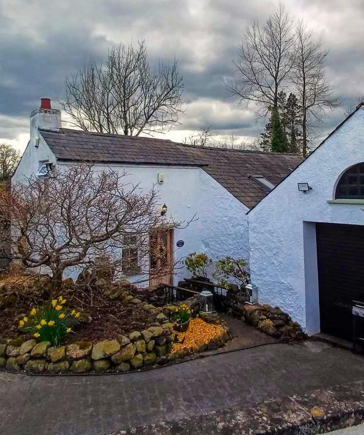 Riverside Cottage At Logwood Mill Ballyclare Exteriér fotografie